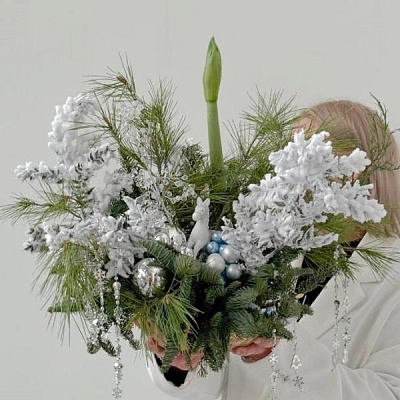 Новогодняя композиция с амариллисом